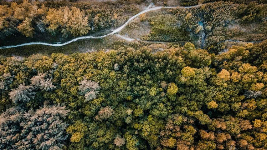 a winding road through a forest next to a river