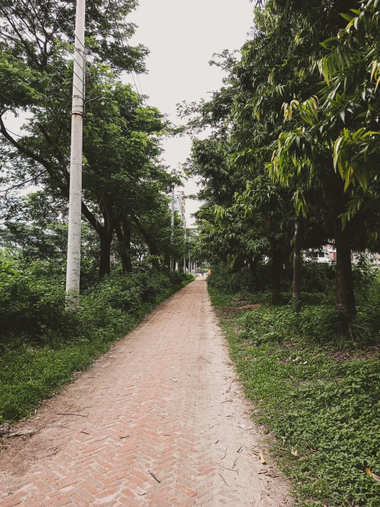 an empty dirt road going through some green trees