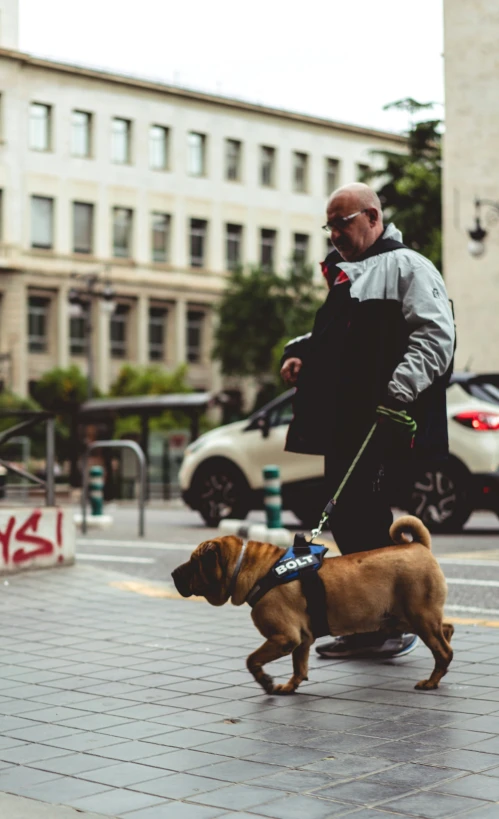 a man walking a dog on a sidewalk