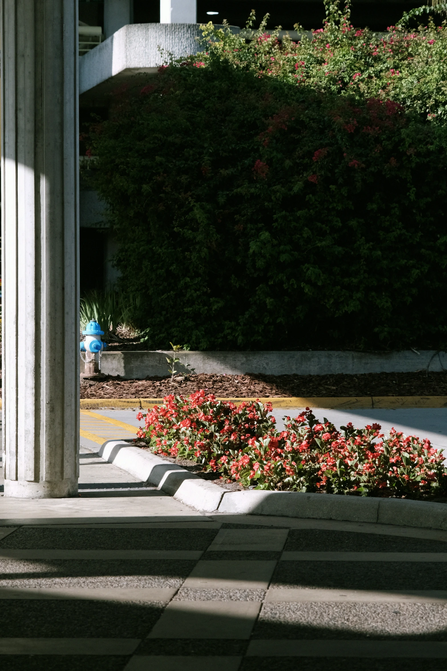 a blue fire hydrant standing next to a cement wall