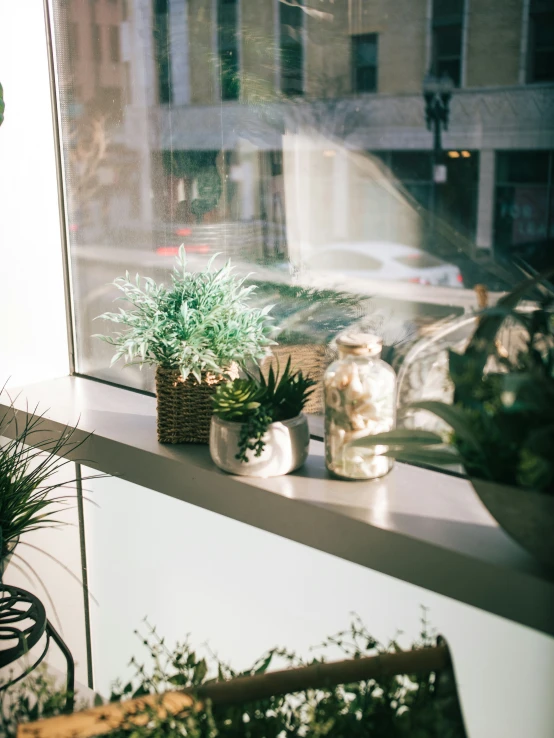 two planters on a window sill with a city view