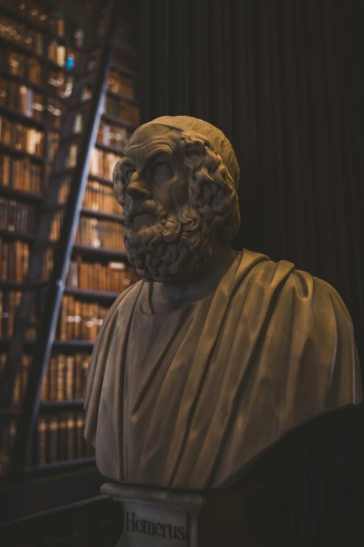 the statue is standing in front of the bookshelf