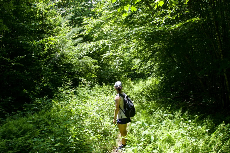 a person is on a trail with trees in the background