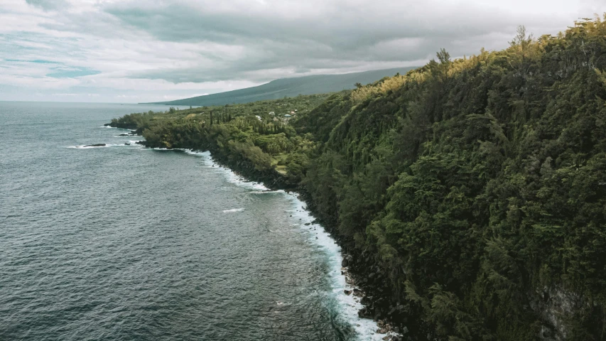 the shoreline of an ocean lined with trees