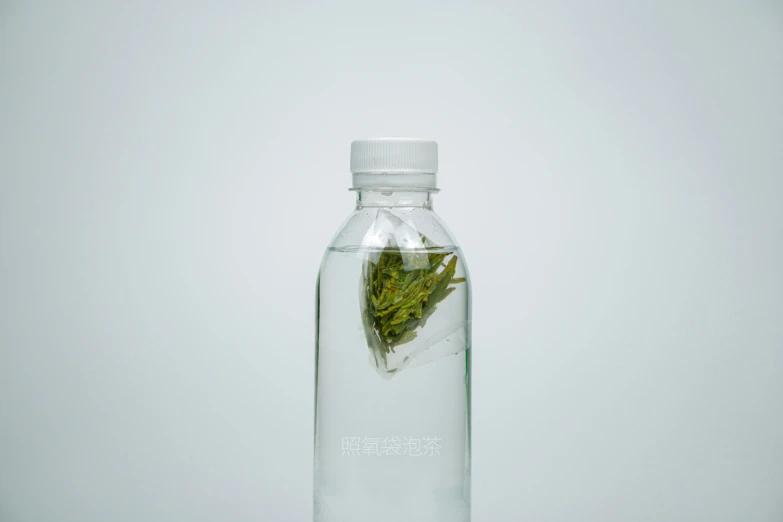a bottle filled with leaves on a table