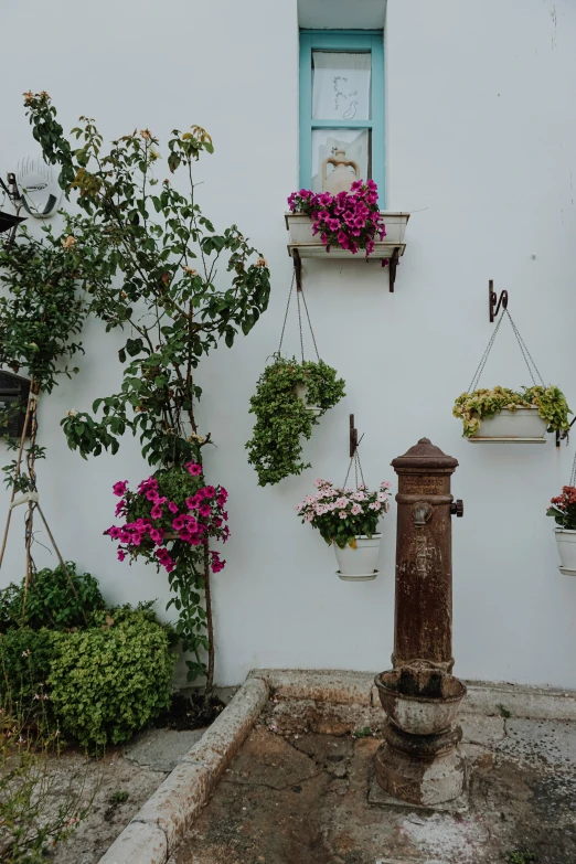 a flowery patio with hanging planters with pink flowers