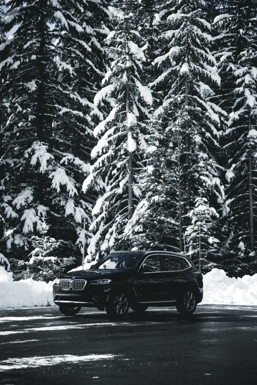 a vehicle in the snow driving past a pine tree