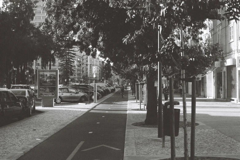 trees, sidewalks and cars on the street in black and white