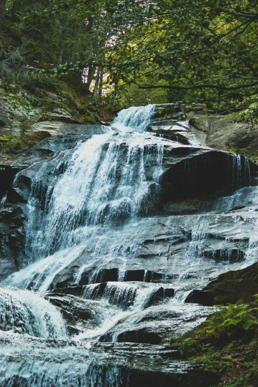 a waterfall in a forest with tall trees around it