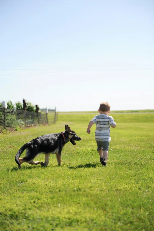 a little boy is running towards the dog