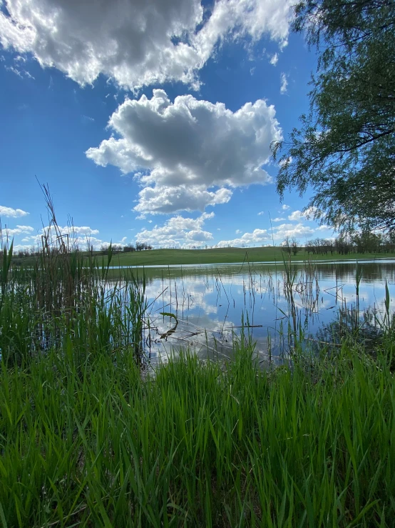 a lake sitting on top of a lush green field