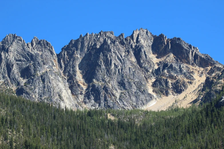 the mountain has trees all over it