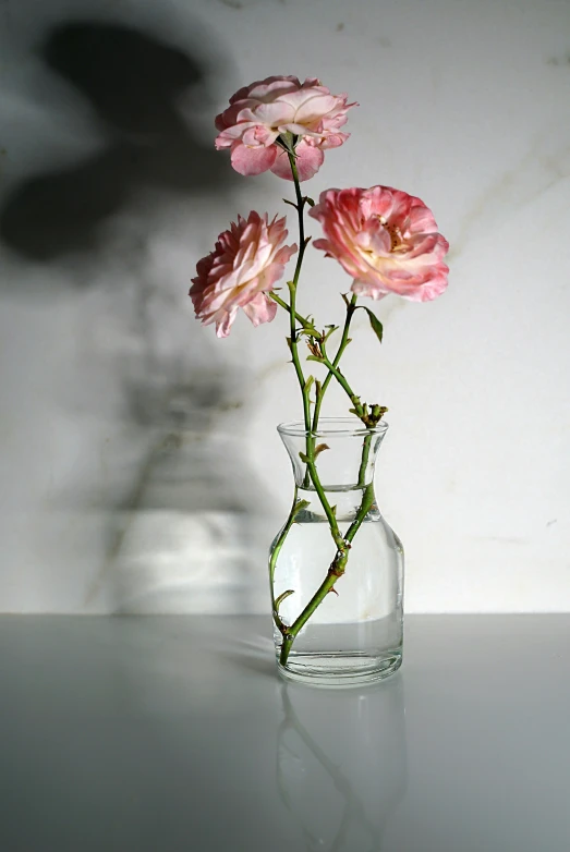 two flowers in a vase are seen on the table