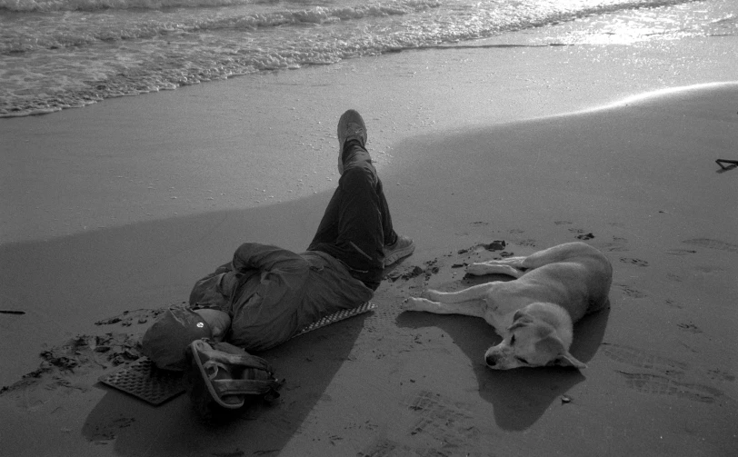 a person laying on the sand next to a dog