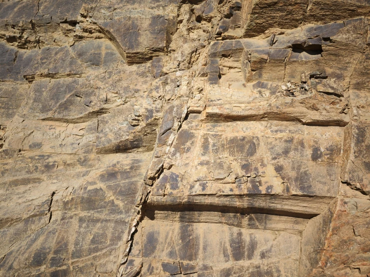 a bird standing near a cliff with rock drawings