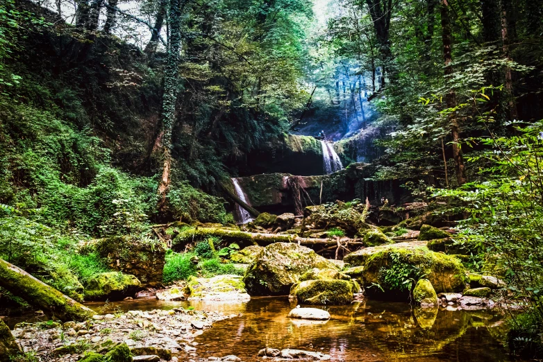 a stream is surrounded by trees and lush foliage