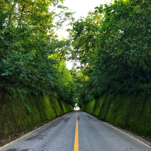 a very narrow road between some trees in the countryside