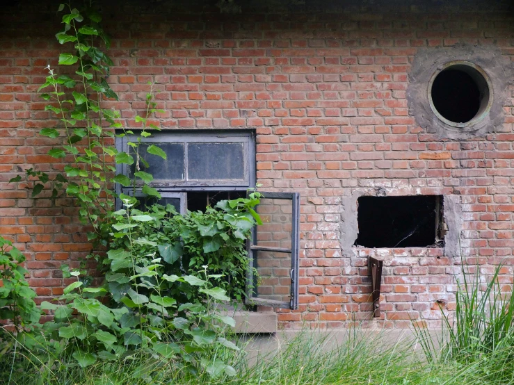 an old brick building has holes and vines in the windows