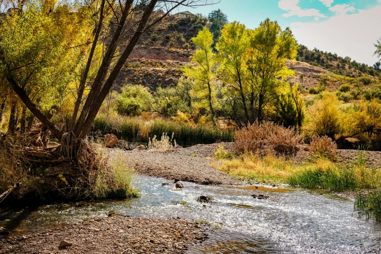 a river with grass and dirt on the banks and trees around