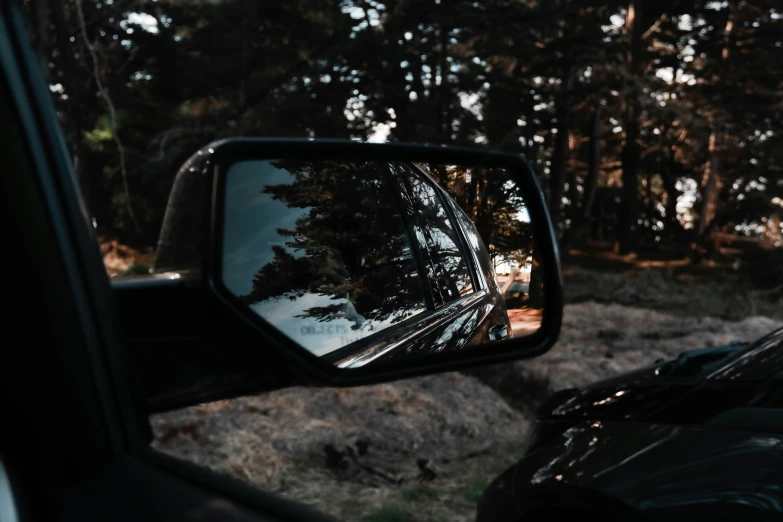 car mirror with trees in reflection and reflection off the side view mirror
