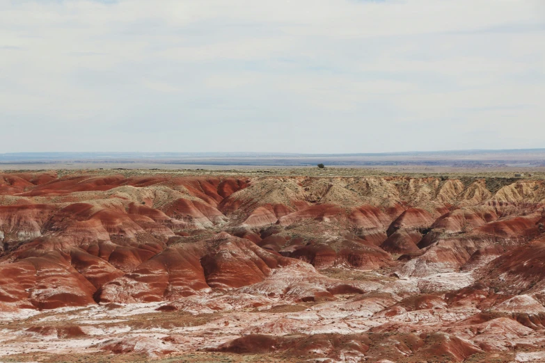 an outback truck drives through a desert plain