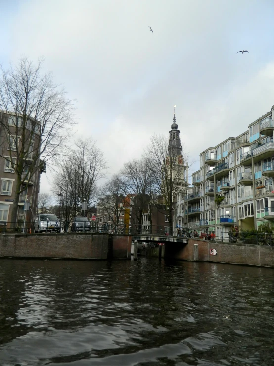 a river with several tall buildings and some trees