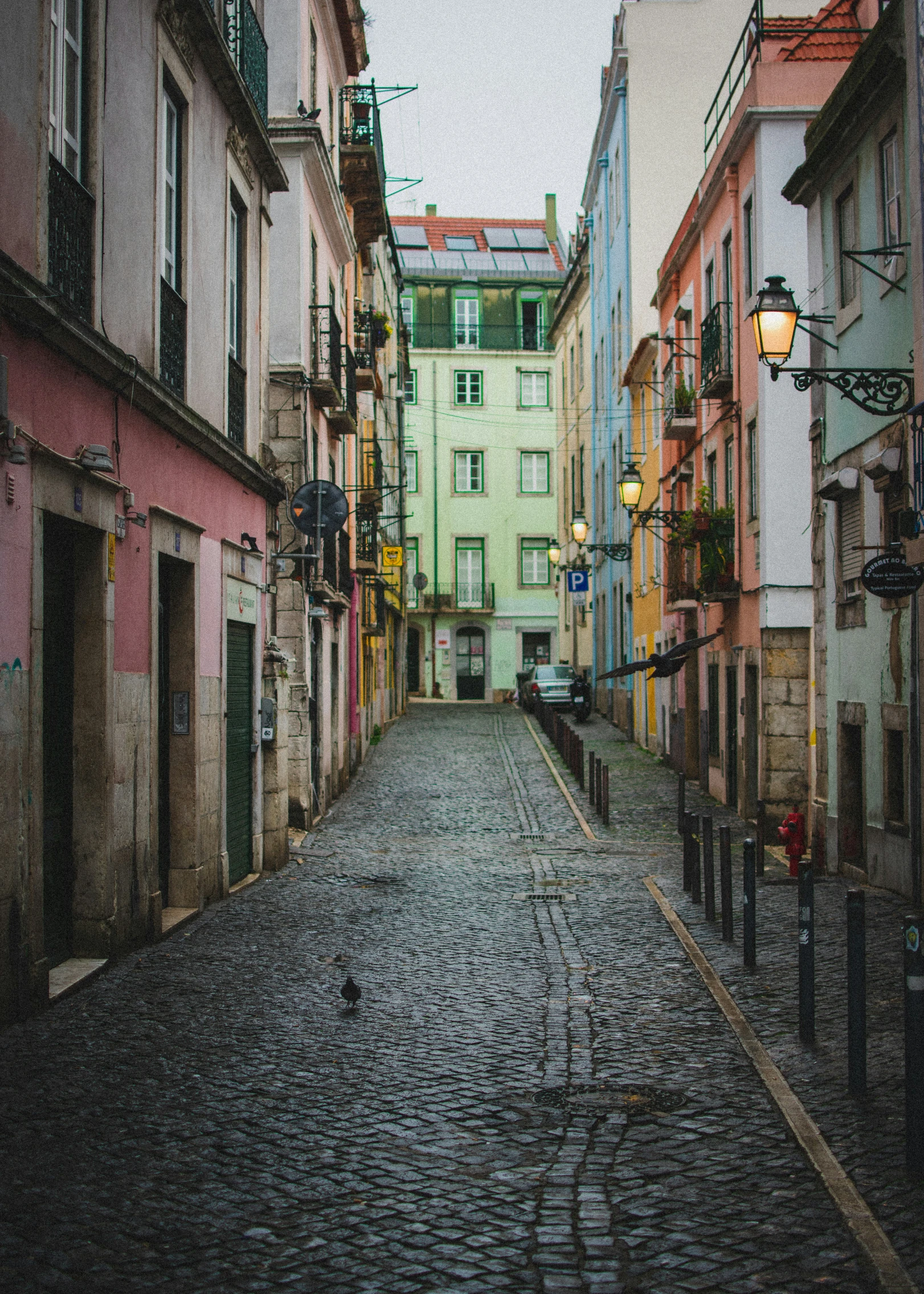 the view down the street looking at an alley