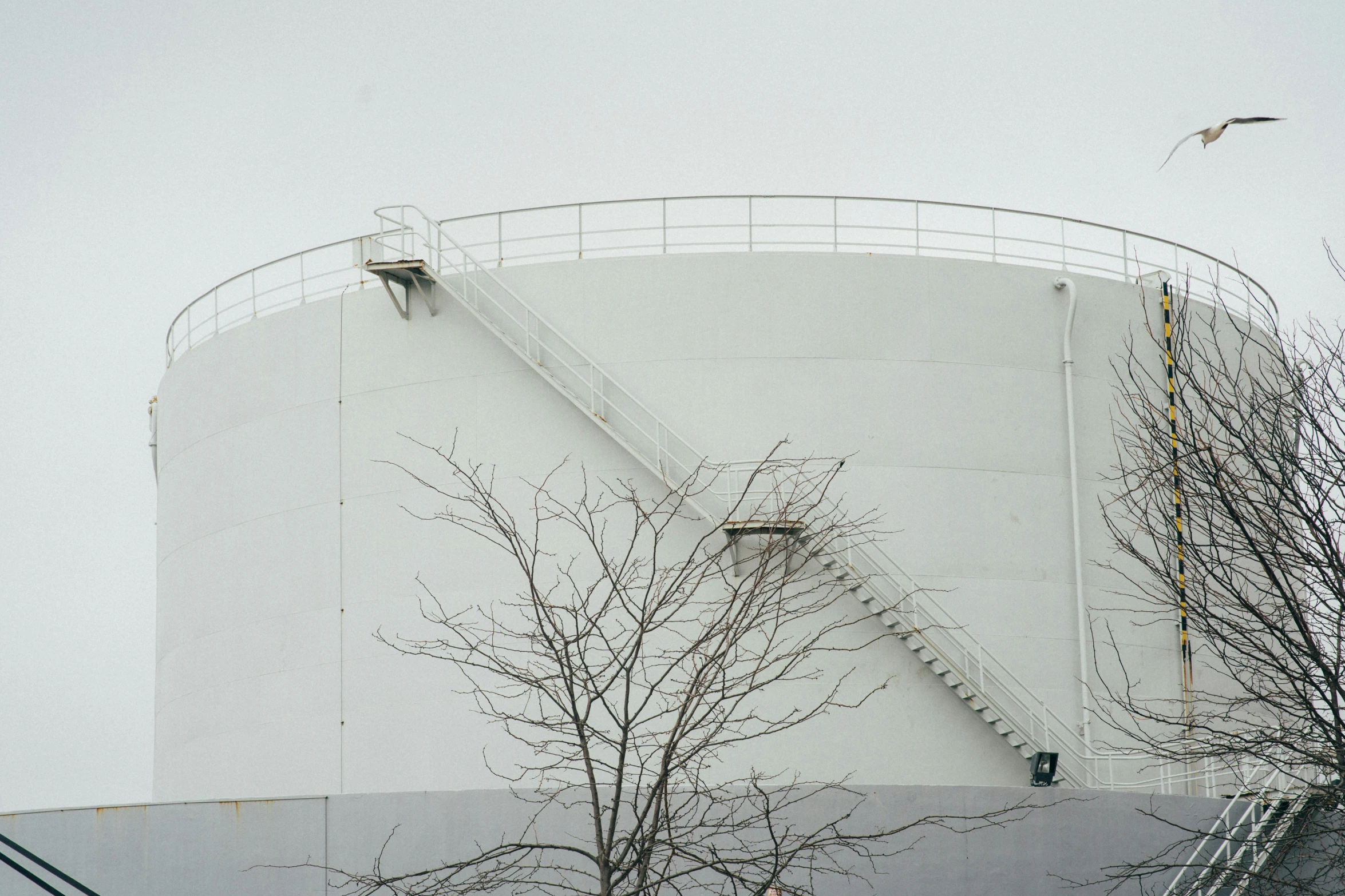 the side of a tall white grain factory