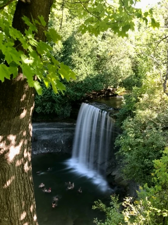 a river with a waterfall in it and people swimming