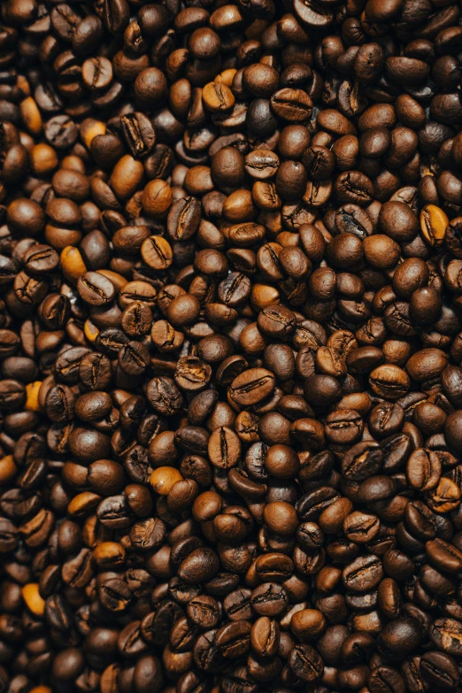 a large amount of coffee beans is in the middle of this image