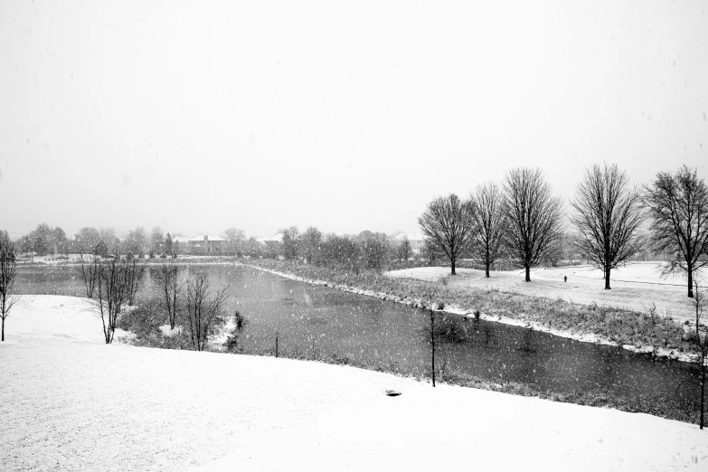 a snow covered field filled with lots of trees