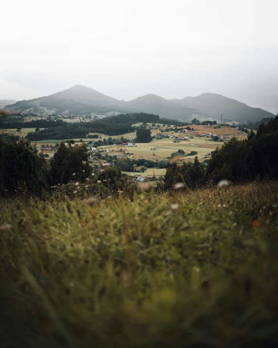 some very green hills and hills with houses