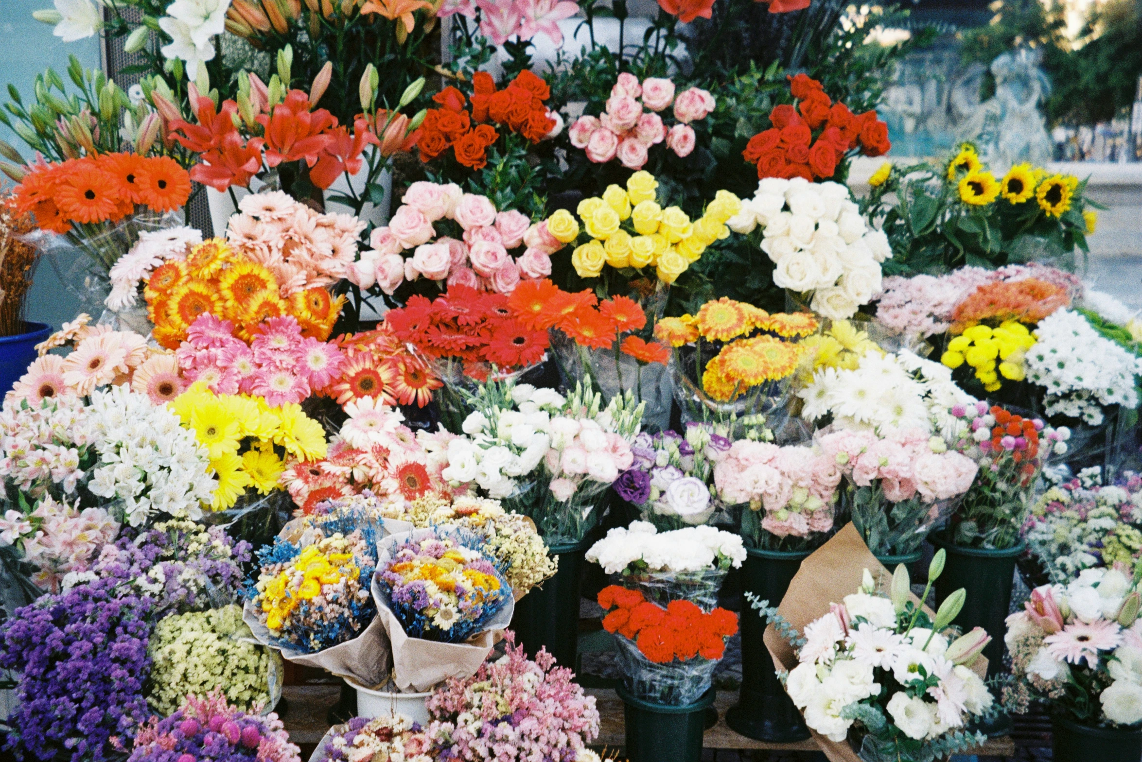 a bunch of different kinds of flowers sit together