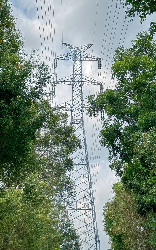 an electric line in the distance over looking trees