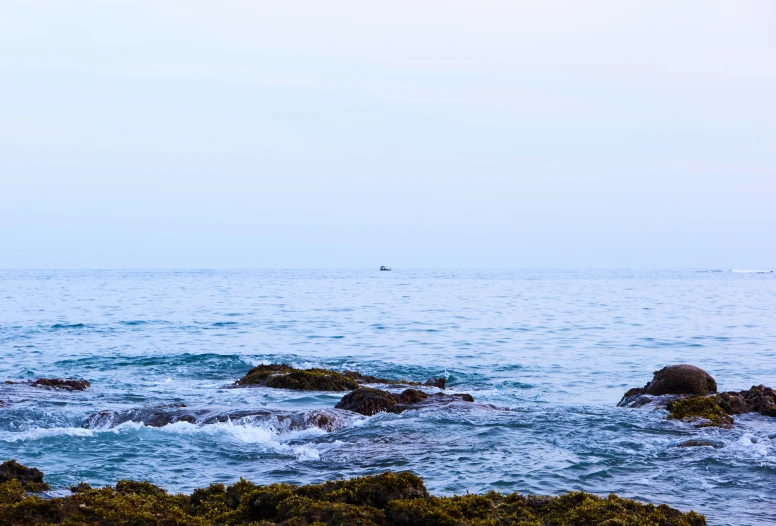 two surfers in the water, one is holding his board