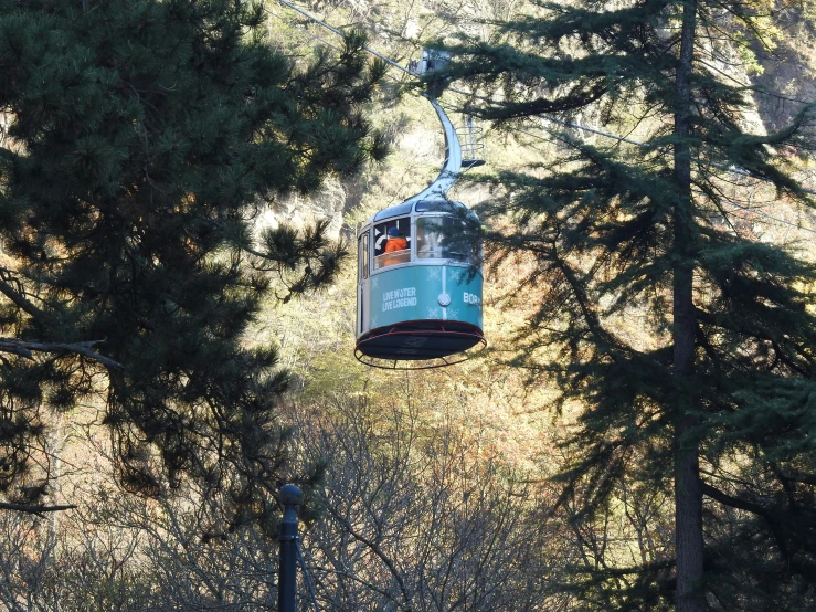 a cable car is suspended over the forest