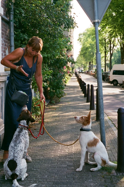 a woman is walking two dogs on leashes on the sidewalk