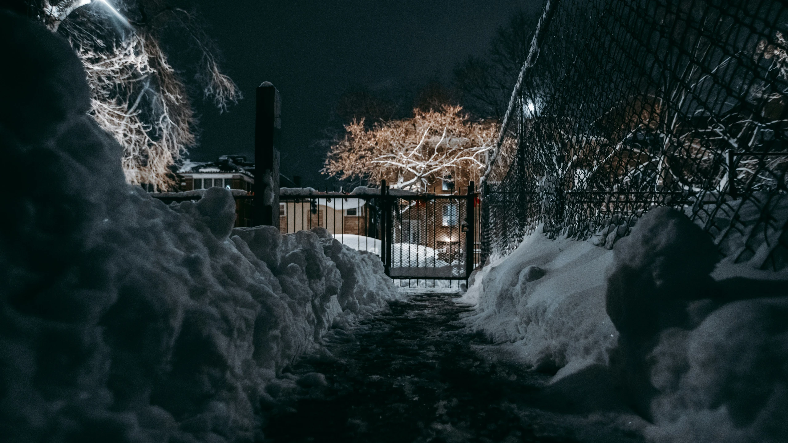 a night view of snowy trees and stairs