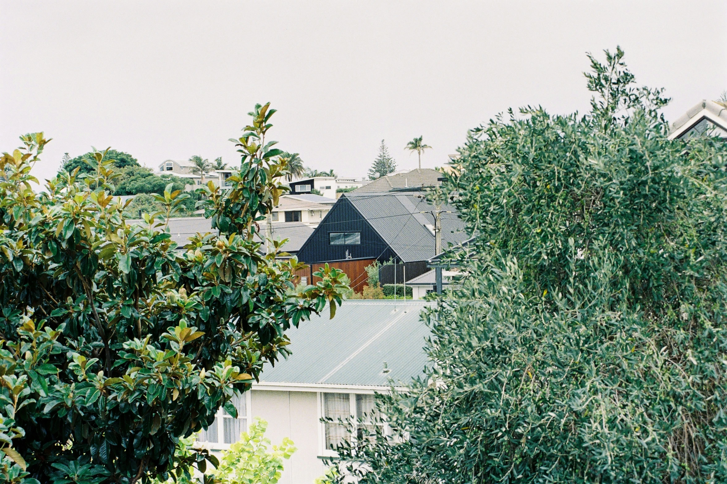 a neighborhood from the ground looking down at the roofs of houses