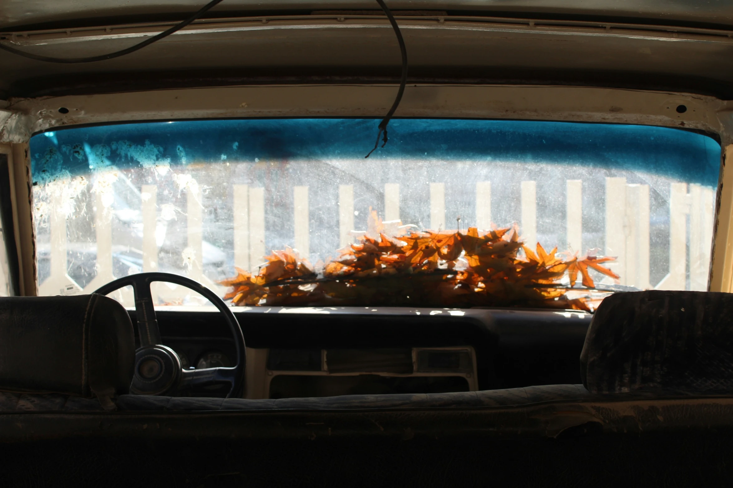 the view from inside of an old truck shows a tree and orange flowers