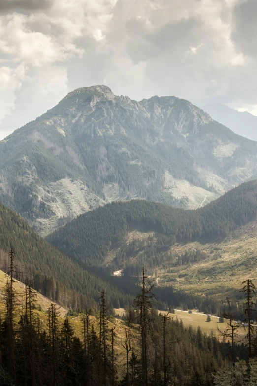 a mountain view with trees in the foreground and mountains in the distance