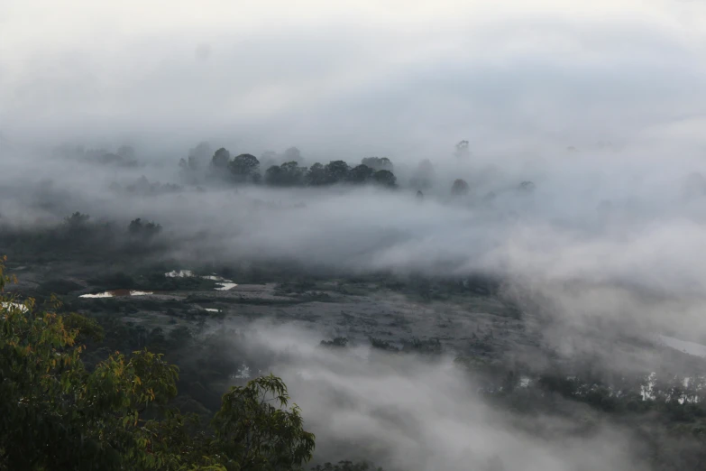 the view of a foggy forest with hills