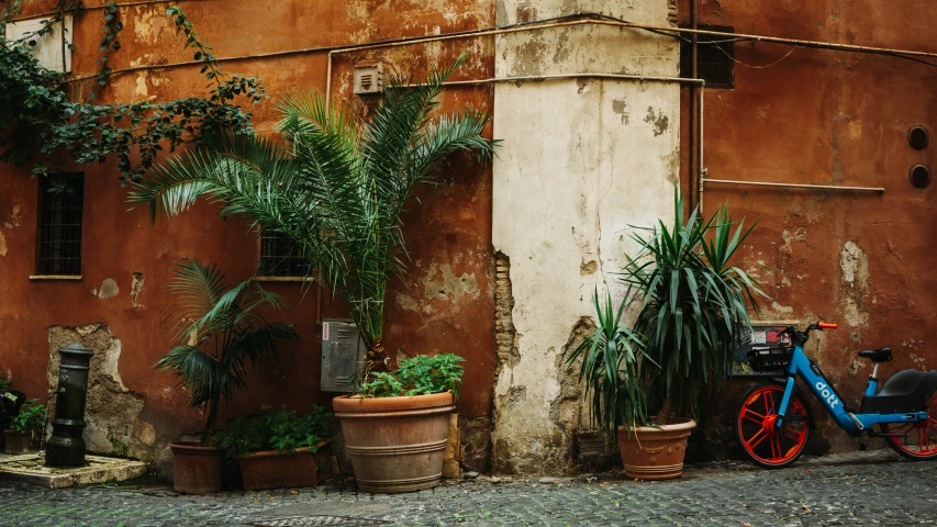 a bike parked near a building with plants