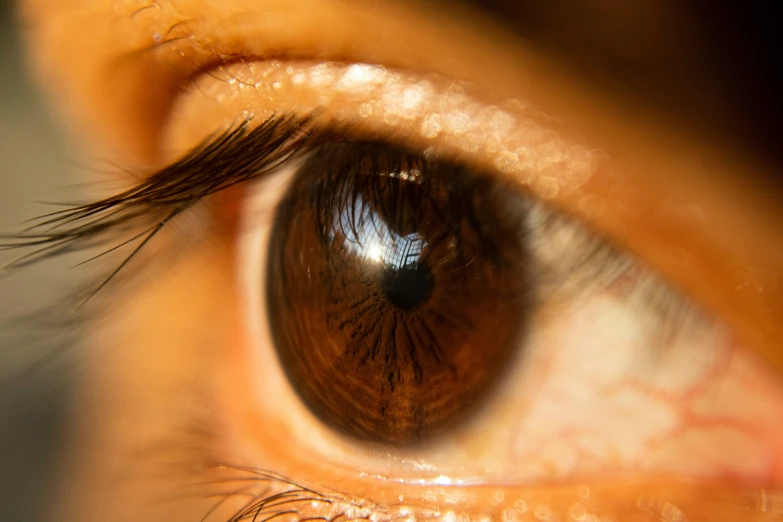 an extreme close - up view of someone's eye