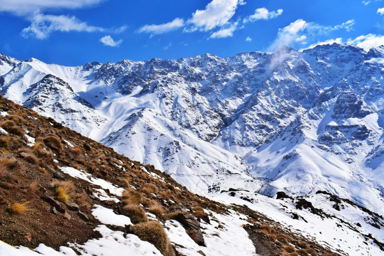 a snowy mountains range with plants growing on the hillside