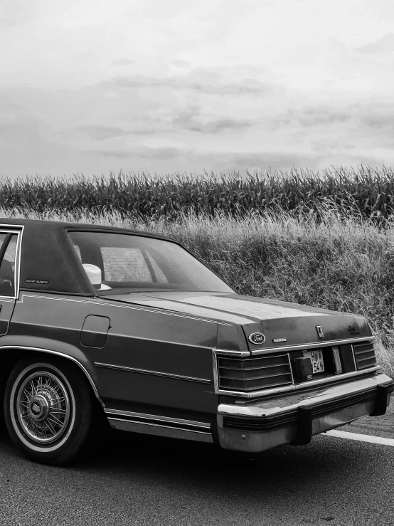 a car parked in front of a corn field