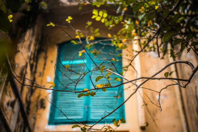 the green shutters of a window in front of a brick wall