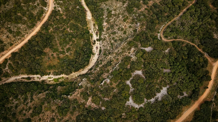 an aerial view of winding roads through the jungle