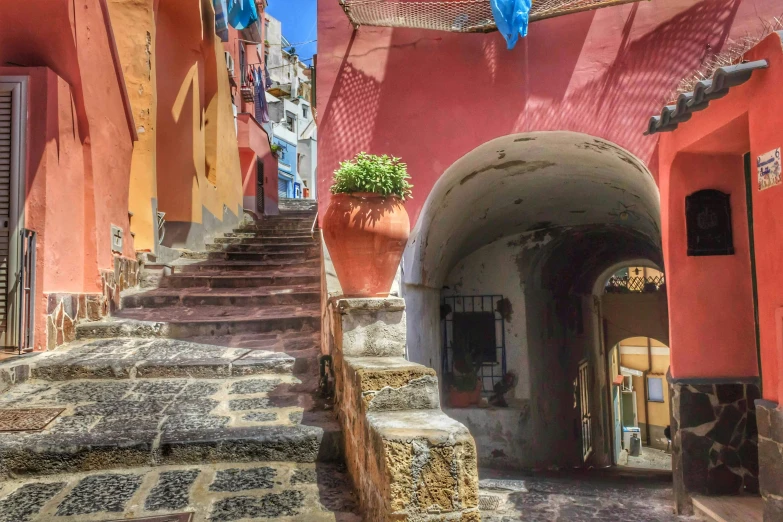 an alley with several steps that have a potted plant and a flower in it