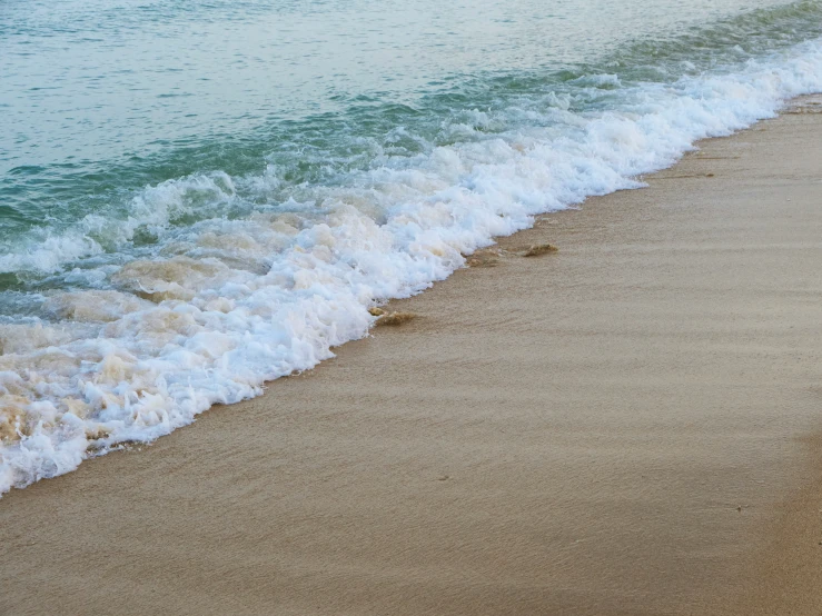 white surf on sandy beach next to water